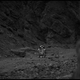 Illustration for article titled Star Wars in Greyscale: A New Hope